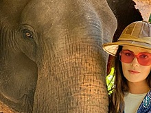 Екатерина Андреева усыновила... слона