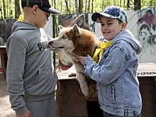 В парке "Сокольники" открылся проект "Московская тропа с хаски"
