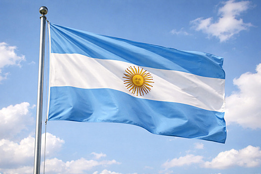 Протест у конгресса в Аргентине перерос в столкновения и задержания