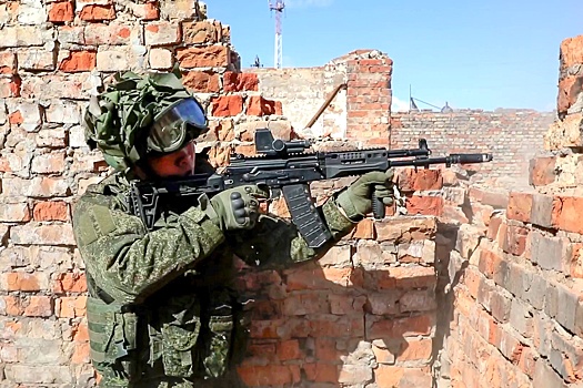 Армия РФ освободила Зеленый Гай в ДНР и Малиевку в Днепропетровской области