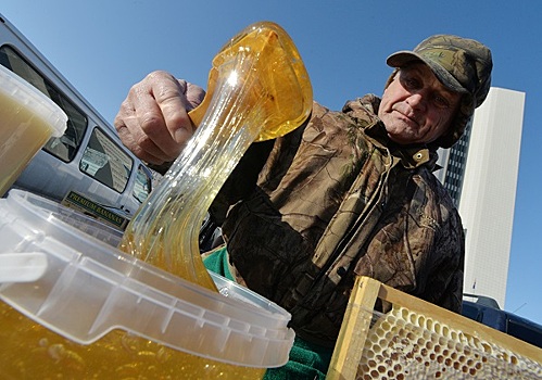 Китай может ввести полный запрет на поставки меда из России