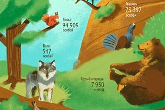 Сколько охотничьих зверей и птиц водится в Пермском крае? Инфографика