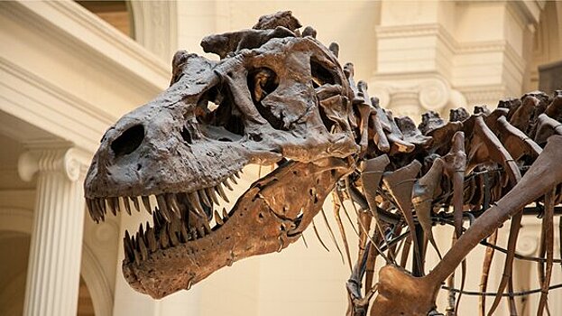 Причиной гибели динозавров стало падение астероида