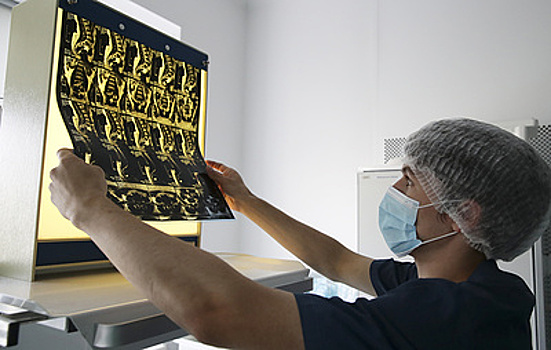 Сколько костей в организме человека