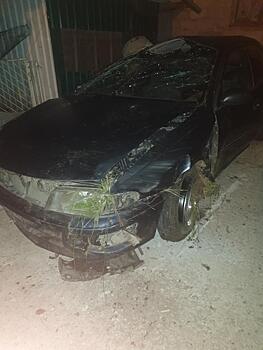 24-летняя автоледи устроила ДТП с двумя пострадавшими на трассе «Краснодар - Верхнебаканский»