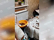 В Подмосковье потолок упал на пожилую россиянку