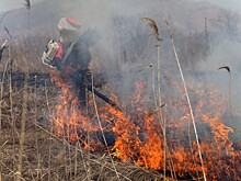Пожароопасный период начался в Приморье