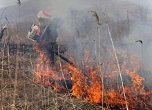 Пожароопасный период начался в Приморье