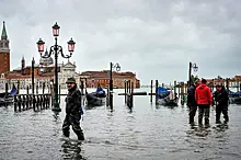"Венеция — это передовая. Все мы — в окопах"