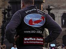 Делегация «Альтернативы для Германии» приедет в Россию