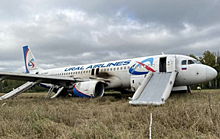 Самолет, который сел в поле в Новосибирске, продолжает стоять на территории колхоза