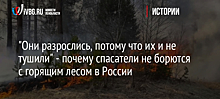 "Они разрослись, потому что их не тушили" - почему спасатели не борются с горящим лесом в России