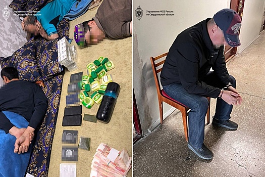 В Екатеринбурге задержали организаторов нелегальной миграции из стран Центральной Азии