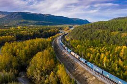 Отправители чаще отдают предпочтение контейнерам при перевозке автомобилей на дальние расстояния