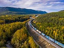 Отправители чаще отдают предпочтение контейнерам при перевозке автомобилей на дальние расстояния