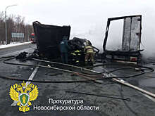 В Новосибирской области столкнулись три фуры, один водитель не выжил