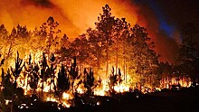 В Канаде объявили чрезвычайное положение из-за лесных пожаров