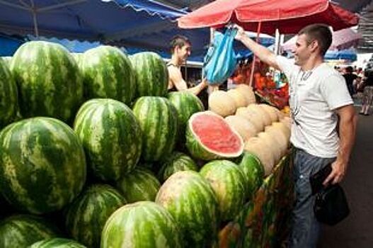 Где в Волгограде можно купить арбуз и дыню?