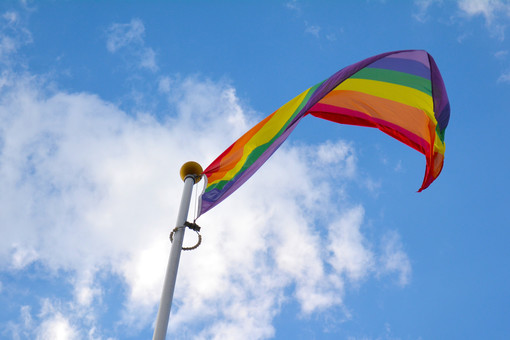 Жителя Волгоградской области оштрафовали за флаг ЛГБТ-сообщества в соцсети