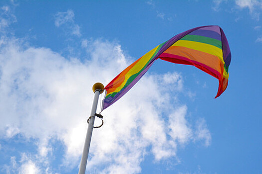 Госдеп разрешил посольствам США вывешивать ЛГБТ-флаг вместе с американским