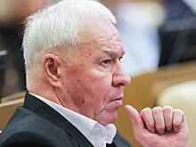 В Госдуме назвали заявление Рютте «уловкой»