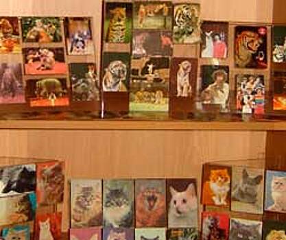Юрист из Челябинска собрала коллекцию из 2000 карманных календариков