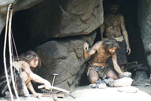 Дубиной по голове: насколько агрессивны были неандертальцы