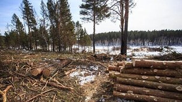          В Фалёнском районе с «чёрного лесоруба» взыскали более миллиона рублей       