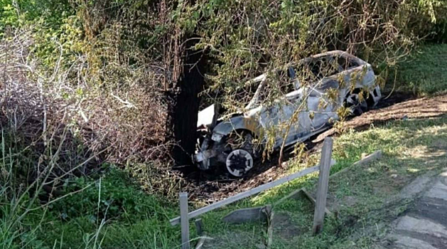 Автомобиль врезался в дерево и загорелся в Саратове