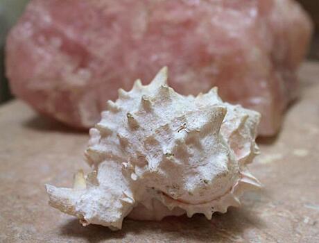 Глава Кубани приглашает россиян на восстановление после пандемии