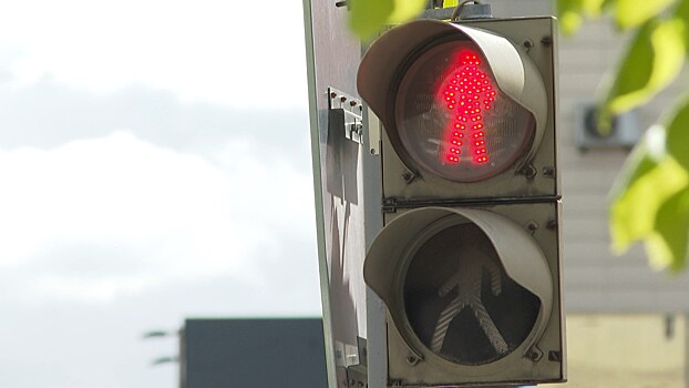 С начала года в регионе произошло более 60 ДТП с пешеходами