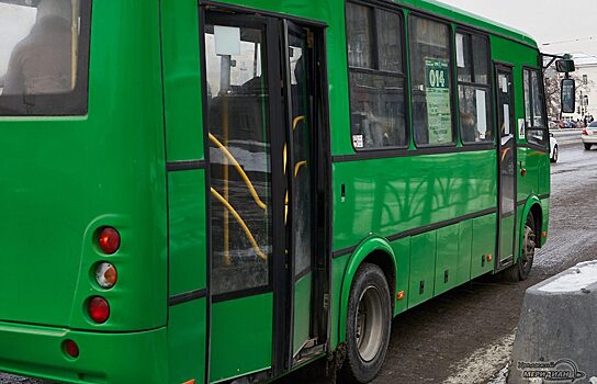 В Екатеринбурге водители автобусов подрались на дороге у цирка