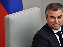 Володин посетит Тегеран