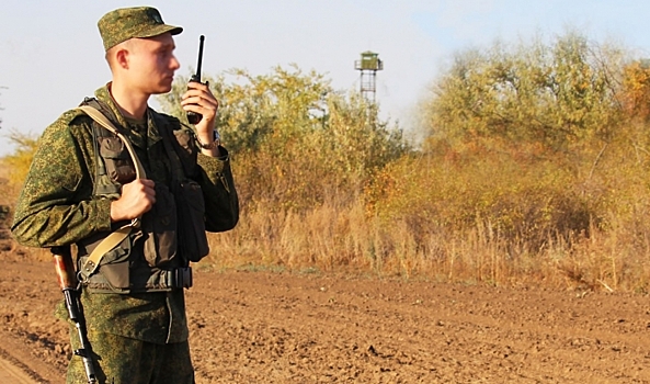 Под Волгоградом около пограничной зоны зафиксированы случаи самовыгула коров
