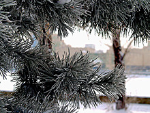 Новогодняя ночь в Челябинской области будет морозной