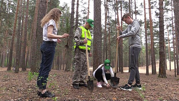 «Мы должны пополнять лесные богатства». Сосны высадили в Дубне в рамках акции «Лес Победы»