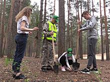 «Мы должны пополнять лесные богатства». Сосны высадили в Дубне в рамках акции «Лес Победы»