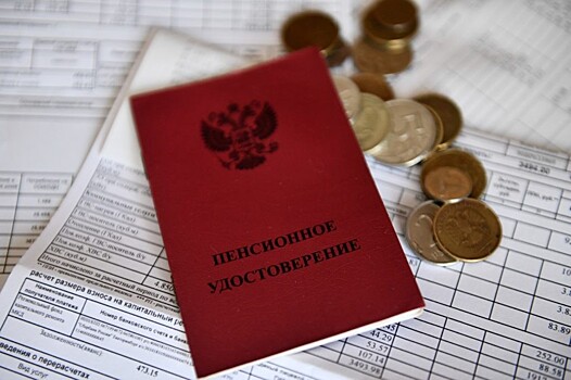 В России может появиться «омбудсмен для пенсионеров»