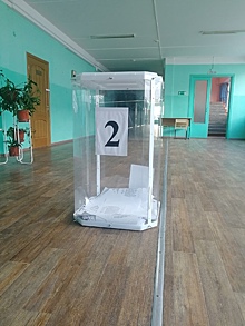 Две интриги Курских выборов