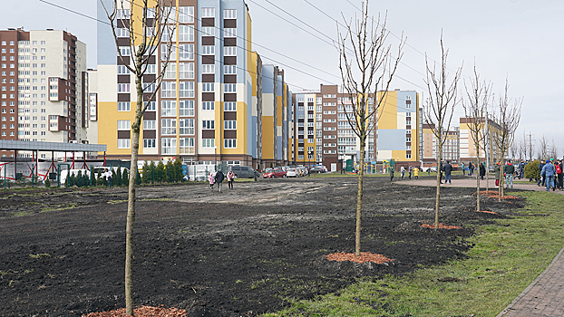 В Калининградской области стартовал губернаторский проект «Зелёный край»