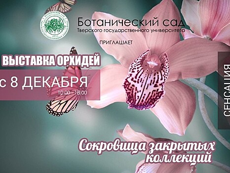 В Твери открывается выставка орхидей "Сокровища закрытых коллекций"