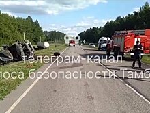В Тамбовской области в ДТП с "Газелью" и большегрузом погибли четыре человека