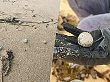 В Австралии на пляжах обнаружили загадочные шары