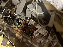 В Херсонской области военнослужащие спасли синицу