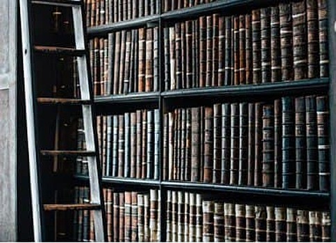 Депутат МГД Киселева: Акция «Списанные книги» формирует культуру бережного отношения к ресурсам