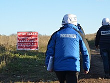 В ЕС прокомментировали начало разведения сил в Золотом