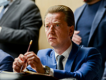 Челябинский депутат Госдумы назвал виновных в нападении собак