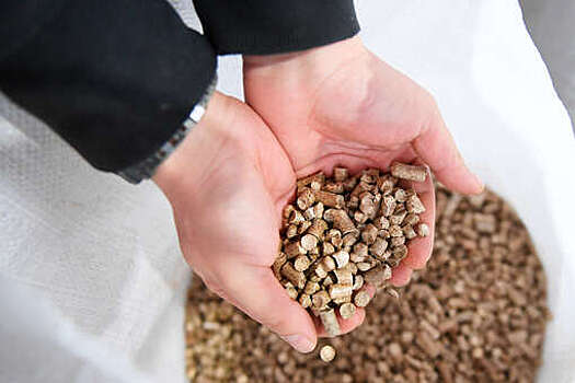 Yle: в Европе возник "жесткий дефицит твердого топлива" без российских поставок