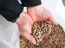 Yle: в Европе возник "жесткий дефицит твердого топлива" без российских поставок