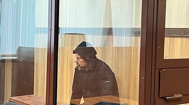 В Новосибирске суд оставил в СИЗО начальника Центра организации дорожного движения Трещева